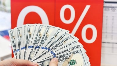 Le prix officiel du dollar américain est fixé à 26 500 VND