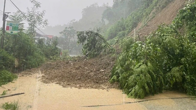 Cảnh báo lũ quét, sạt lở đất do mưa lũ ở các tỉnh Tuyên Quang, Thái Nguyên, Lạng Sơn và Lâm Đồng