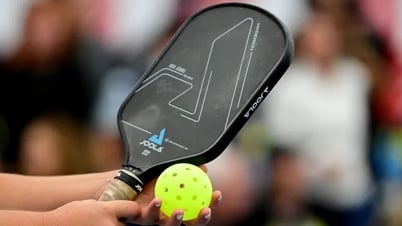 Cách chọn vợt Pickleball phù hợp: Gợi ý cho người mới chơi