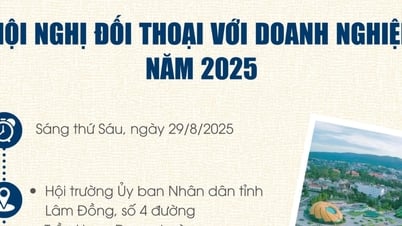 Ngày 29/8, UBND tỉnh Lâm Đồng tổ chức Hội nghị đối thoại với doanh nghiệp năm 2025
