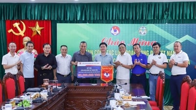 Thúc đẩy sự phát triển bền vững của bóng đá nước nhà