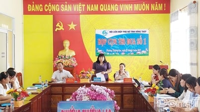 Hội Liên hiệp Phụ nữ tỉnh Đồng Tháp: Các cấp Hội cần hỗ trợ vốn để phụ nữ phát triển mô hình kinh tế