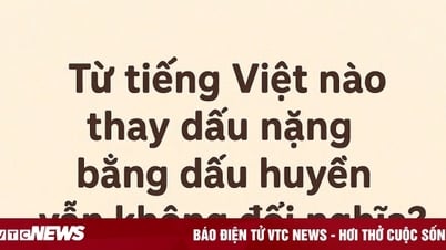 Từ Tiếng Việt nào thay dấu nặng bằng dấu huyền vẫn không đổi nghĩa?
