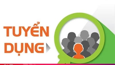 Bệnh viện Y học cổ truyền Hà Tĩnh tuyển dụng viên chức y tế năm 2025