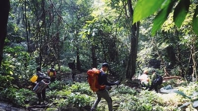 Ninh Bình: Kiểm soát chặt chẽ hoạt động trekking sau vụ du khách tử vong trong rừng Cúc Phương