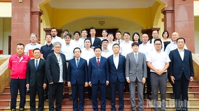 Lãnh đạo tỉnh làm việc với doanh nghiệp Nhật Bản