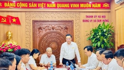 Tập đoàn Mường Thanh cam kết đẩy nhanh tiến độ các dự án tại xã Tam Hưng