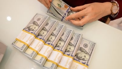 Höchster USD-Preis aller Zeiten