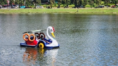 Cho kinh doanh xe đạp nước ở hồ Xuân Hương Đà Lạt trong khi chờ đấu thầu