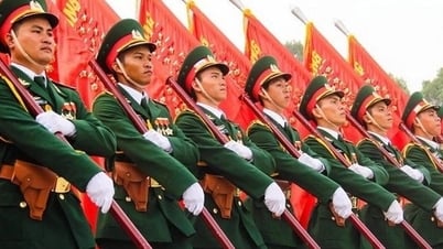 Triển khai thi hành Luật sửa đổi, bổ sung một số điều của 11 luật về quân sự, quốc phòng