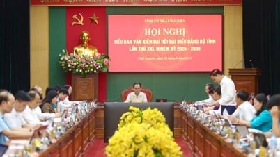 Tiếp tục điều chỉnh, bổ sung, hoàn thiện Văn kiện đảm bảo đúng tiến độ đề ra