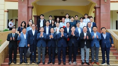 Lãnh đạo tỉnh làm việc với Hiệp hội Doanh nghiệp vừa và nhỏ Hàn Quốc