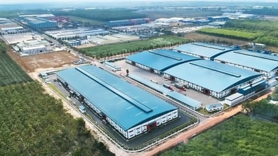 Phát triển kinh tế tư nhân: Khơi thông dòng vốn dài hạn từ nội lực quốc gia