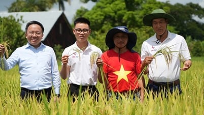 VTV đặc biệt: 'Hạt giống hạnh phúc'