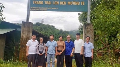 Khảo sát mô hình liên kết phát triển xây dựng nông thôn mới