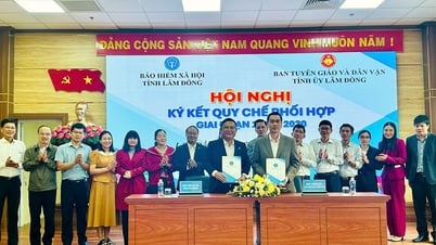 Lâm Đồng mở rộng diện bao phủ bảo hiểm xã hội, y tế toàn dân
