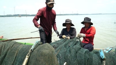 Phấn đấu tăng trưởng khu vực nông - lâm - thủy sản trên 4%