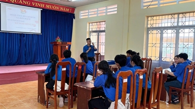 Bach Bien៖ បានរៀបចំកម្មវិធី "Pink Vacation" ដោយជោគជ័យ។