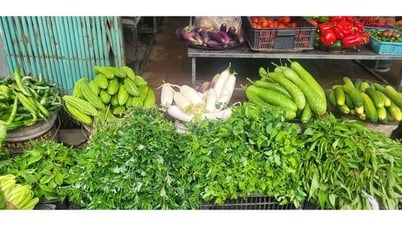Loại củ ví như ‘nhân sâm mùa thu’ vào chính vụ, giá rẻ bèo, giúp thải độc gan, kiểm soát đường huyết
