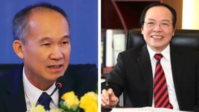 Cổ phiếu liên quan đại gia Dương Công Minh, Đỗ Minh Phú tăng bung nóc