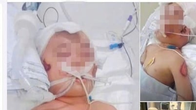 Giả mạo Bệnh viện Đa khoa Thủ Đức, lấy ảnh em bé nguy kịch để quyên tiền