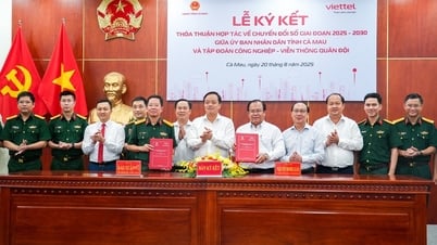 UBND tỉnh Cà Mau và Tập đoàn Viettel ký kết thỏa thuận hợp tác về chuyển đổi số giai đoạn 2025–2030