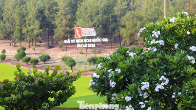 Sắc hương FLC Golf Links Quy Nhơn: Nơi thiên nhiên kiến tạo sân chơi đỉnh cao