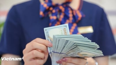 Tỷ giá USD thiết lập mặt bằng mới, vượt mốc 26.500 đồng