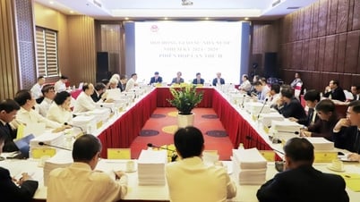 Trường nào có nhiều ứng viên giáo sư và phó giáo sư năm 2025?