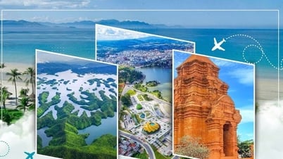 Lâm Đồng tổ chức “Tháng trải nghiệm điểm đến du lịch năm 2025”