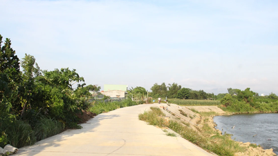 Gia Lai: Hơn 195 tỷ đồng kiên cố hóa hơn 7 km kênh mương thủy lợi tại 3 địa phương phía Đông tỉnh