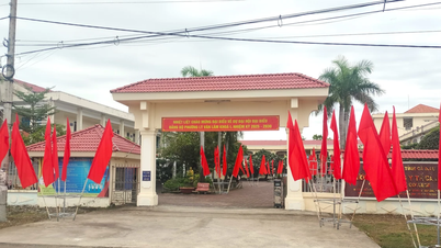 Sở GD&ĐT Cà Mau đề xuất 2 phương án sắp xếp các trường Cao đẳng