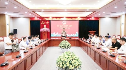 Triển khai các dự án nguồn điện năng lượng tái tạo