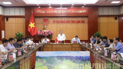 Họp UBND tỉnh thường kỳ tháng 8 (phiên thứ nhất): Thảo luận và quyết định 4 nội dung quan trọng
