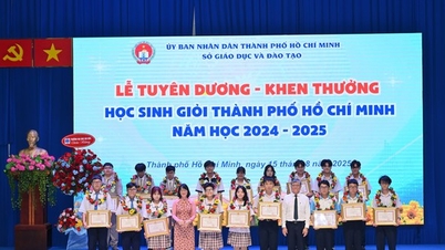 TP HCM tổ chức thi học sinh giỏi ở cả 3 khu vực vào hai ngày 17 và 18-9