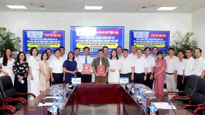 Bệnh viện Trung ương Huế ddaary mạnh chuyển đổi số, nghiên cứu khoa học