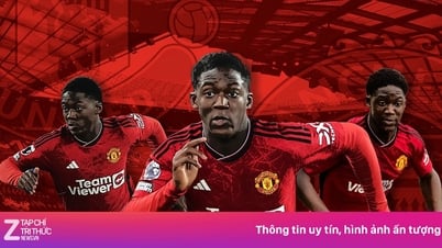 Ghế dự bị ở Old Trafford không thể chôn vùi Mainoo