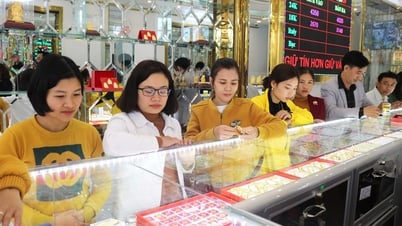 Giá vàng hôm nay 22/8: Giá vàng SJC và vàng nhẫn ở đỉnh kỷ lục, vàng thế giới giảm nhẹ