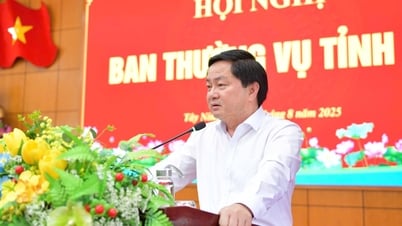 Tay Ninh បញ្ចប់ការរៀបចំមហាសន្និបាតបក្សនៅថ្នាក់ឃុំ និងមហាសន្និបាតបក្សផ្ទាល់ក្រោមគណៈកម្មាធិការបក្សខេត្ត។