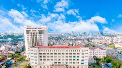 ハイフォン医科薬科大学の最高入学スコアは 25.33 です。
