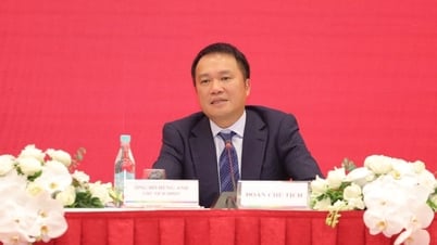 Tập đoàn liên quan đến tỷ phú Hồ Hùng Anh tăng vốn, lấn sân mảng hàng không