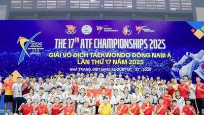 Việt Nam giành vị trí Nhất toàn đoàn tại Giải vô địch Taekwondo Đông Nam Á 2025