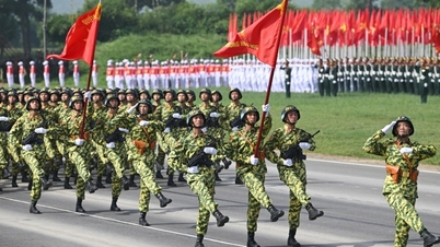 Standard scores of all 17 military schools