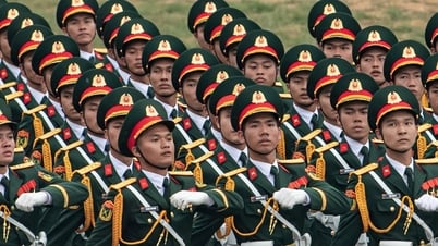 'Preliminary summary' of 2025 benchmark scores: Pedagogy and military continue to be 'hot', some majors get 30/30 points