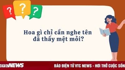 Hoa gì chỉ cần nghe tên đã thấy mệt mỏi?