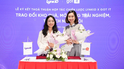 LynkiD cùng Got It cung cấp nền tảng chăm sóc khách hàng toàn diện