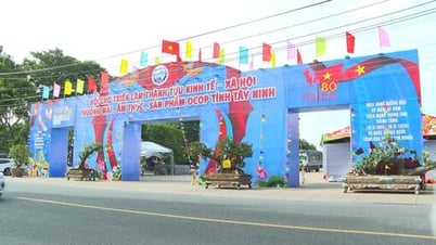 Tây Ninh chuẩn bị tổ chức Hội chợ triển lãm nhân kỷ niệm 80 năm Quốc khánh 02/9