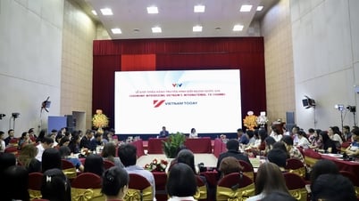 Vietnam Today: “Cửa sổ thông tin” để thế giới hiểu, cảm nhận và kết nối với Việt Nam