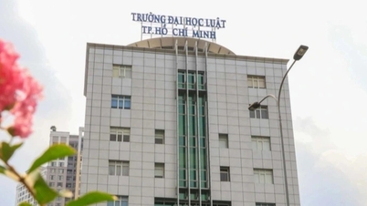 Điểm chuẩn Trường Đại học Luật TPHCM cao nhất ở tổ hợp "hiếm"