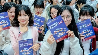 다낭대학교, 2025년 벤치마크 점수 발표: 교육학 분야가 29포인트 가까이 앞서